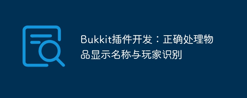 Bukkit插件开发：正确处理物品显示名称与玩家识别
