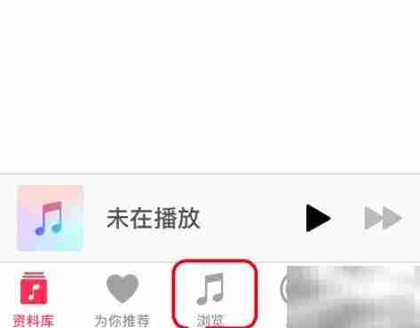 Apple Music歌词无法显示
