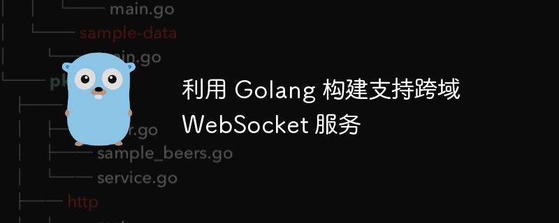 利用 Golang 构建支持跨域 WebSocket 服务