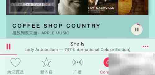Apple Music隐藏功能使用技巧
