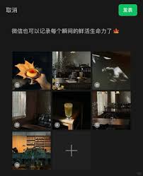 微信发Live图教程步骤详解