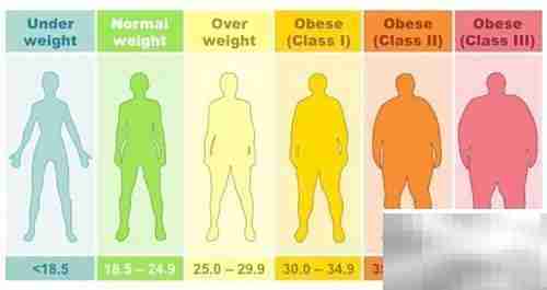 BMI≥24如何计算？一文读懂