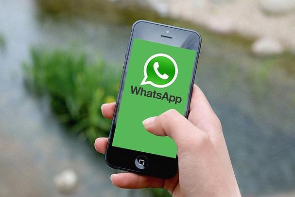 WhatsApp文件传输快捷方法-中文教程详解
