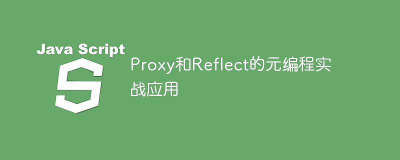 Proxy与Reflect元编程使用技巧