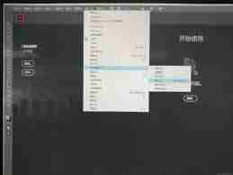 InDesign如何取消自动更正大写错误