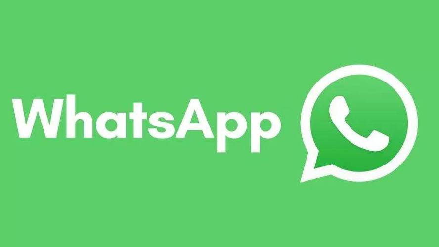 WhatsApp Business商务版入口-WhatsApp企业版中文官网下载