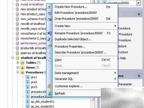 Maestro修改存储过程安全