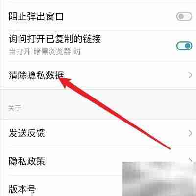 清理Dark Browser的Cookie方法