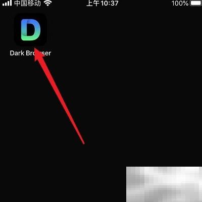清理DarkBrowserCookie的实用技巧