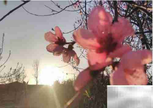 晨光之美,如诗如画