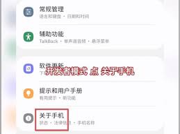 三星手机开启开发者模式教程
