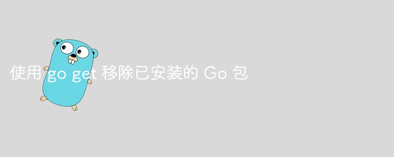 使用 go get 移除已安装的 Go 包