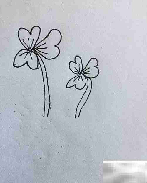 三叶草简笔画轻松学