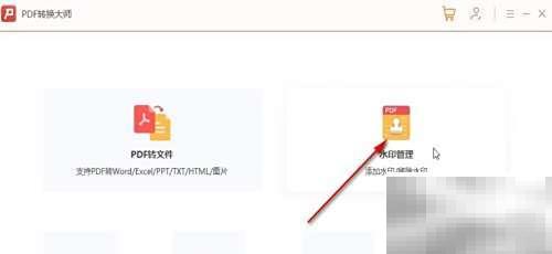 PDF转换大师去水印方法揭秘