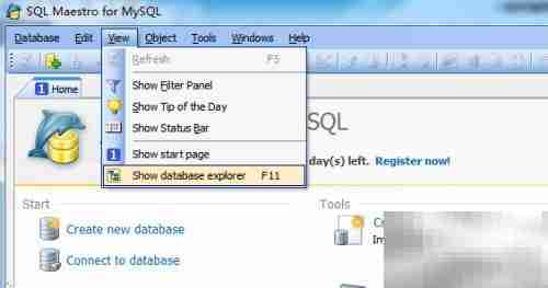 Maestro删除数据库视图指南