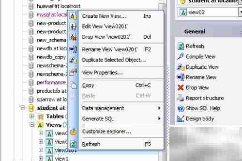 Maestro删除数据库视图指南