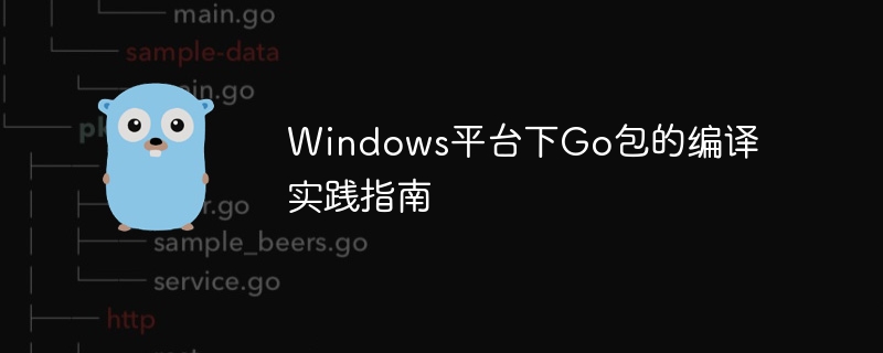 Windows平台下Go包的编译实践指南
