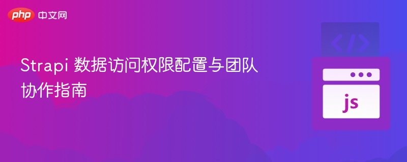 Strapi数据权限设置与协作技巧