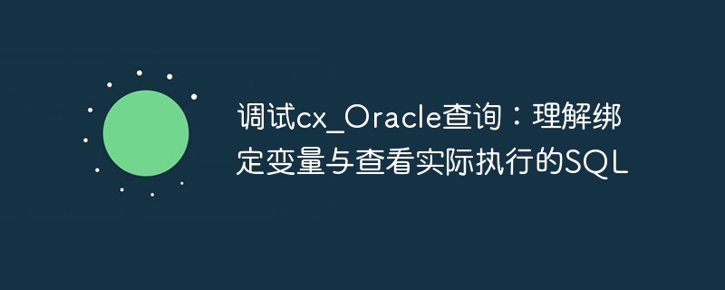 调试cx_Oracle查询：绑定变量与执行分析