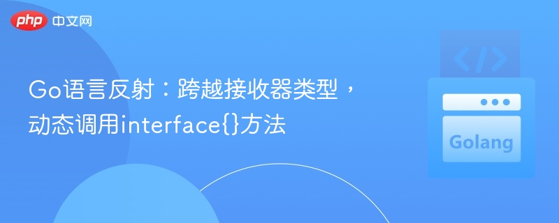 Go反射：动态调用interface{}方法全攻略