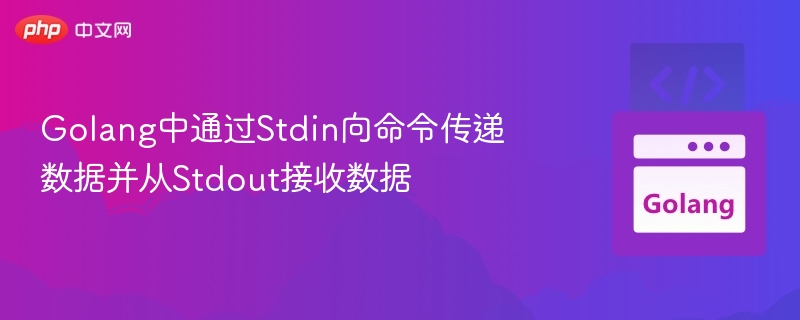 Golangstdin传递数据与stdout读取方法
