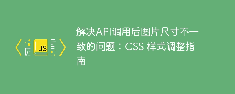 解决API调用后图片尺寸不一致的问题：CSS 样式调整指南