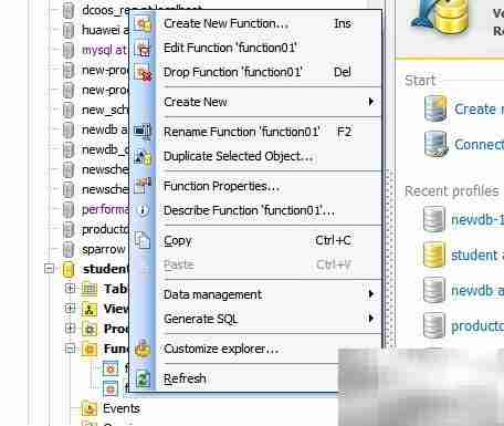 Maestro修改函数名称技巧