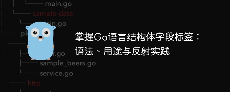 Go结构体标签实用解析：语法与反射应用