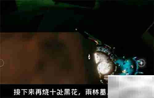 光遇2.10日常任务速通指南