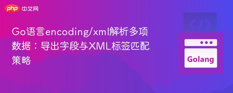 Go语言XML字段匹配技巧解析