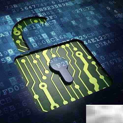 高级漏洞挖掘技术解析