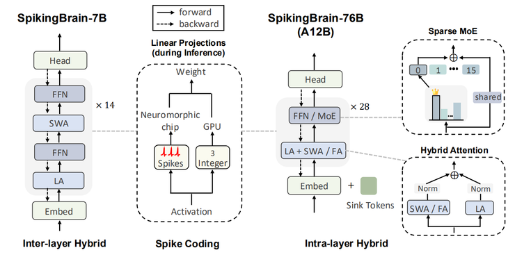 不靠英伟达，中科院在国产 GPU 上跑通 76B 类脑大模型