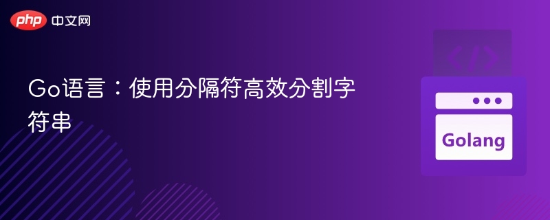 Go语言:使用分隔符高效分割字符串