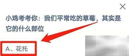 草莓其实是花托发育而成的