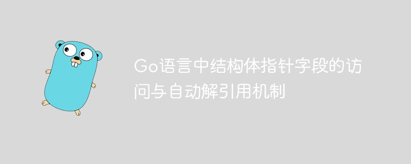 Go结构体指针字段访问与解引用解析