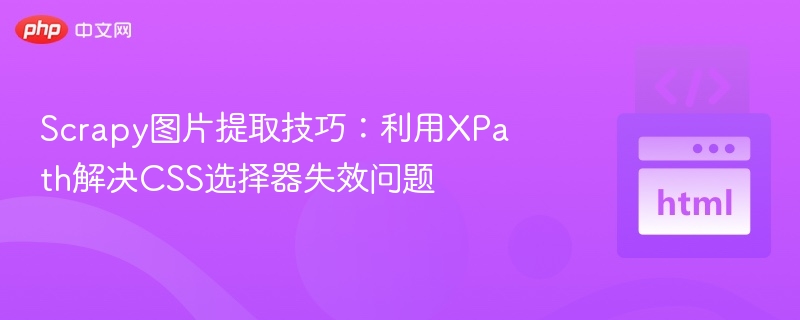 Scrapy图片提取技巧:利用XPath解决CSS选择器失效问题