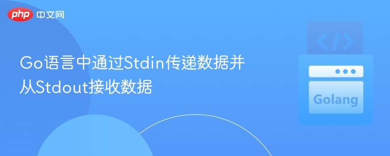 Go语言Stdin传数据到Stdout方法