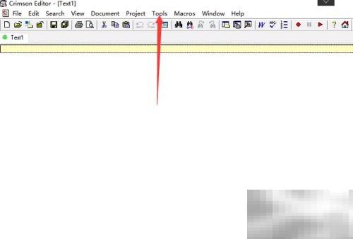 CrimsonEditor斜体注释关闭方法