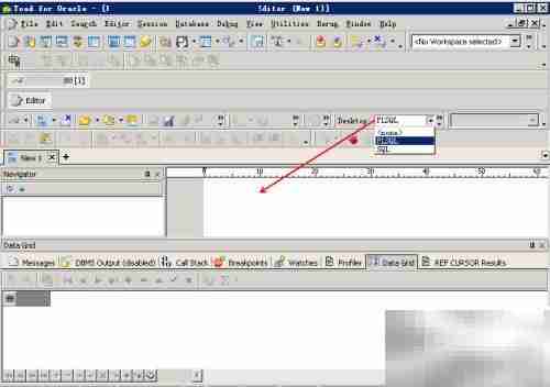 Toad SQL编辑器核心功能解析