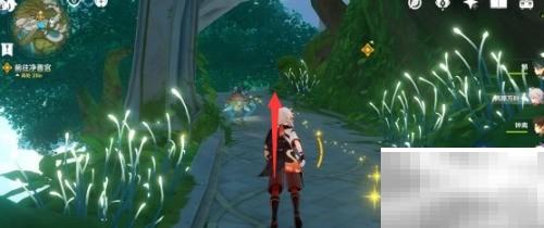 原神3.2须弥美食任务详解