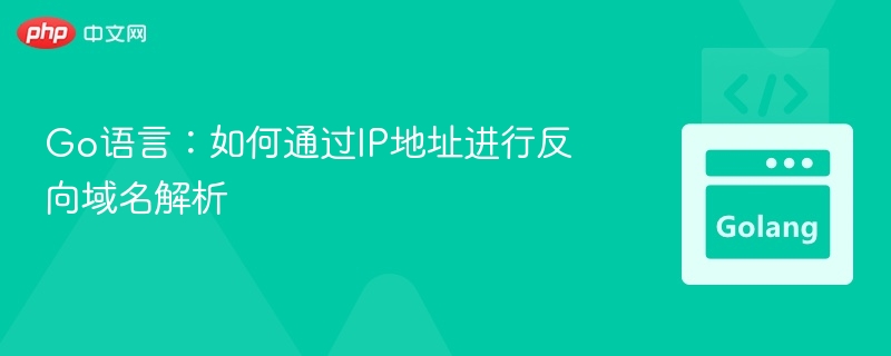 Go语言实现IP反向解析技巧