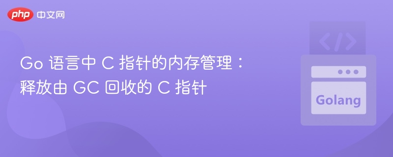 Go中指针内存管理技巧解析