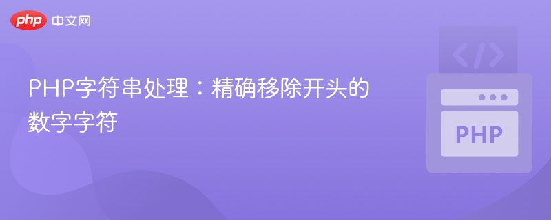 PHP去除字符串前导数字方法