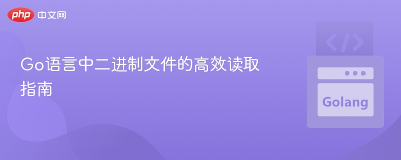 Go语言中二进制文件的高效读取指南