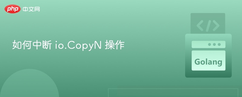 中断io.CopyN的几种方法