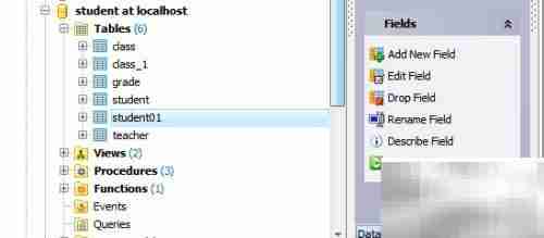 Maestro检查数据库表方法