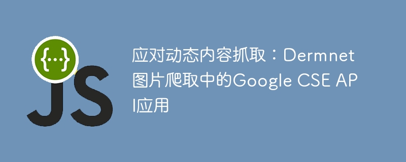 Dermnet图片抓取：GoogleCSEAPI实战教程