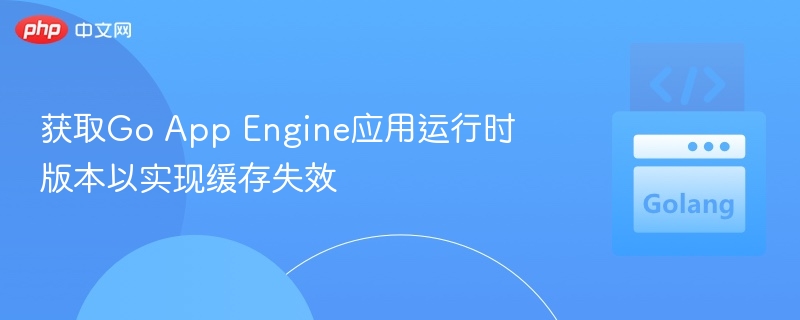GoAppEngine版本解决缓存问题方法