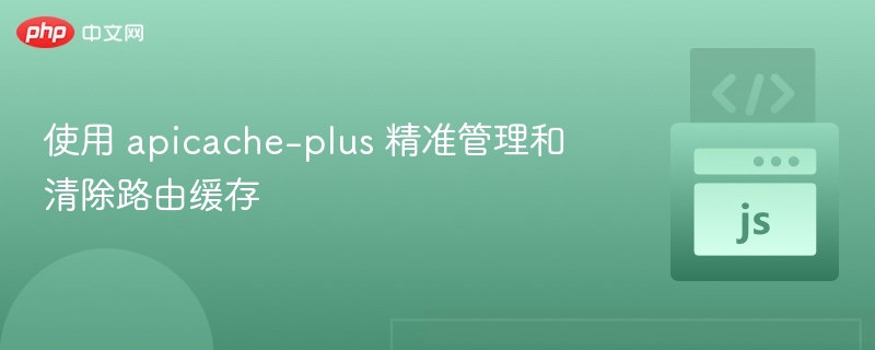 使用 apicache-plus 精准管理和清除路由缓存