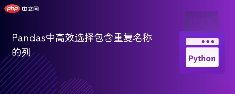 Pandas中高效选择包含重复名称的列
